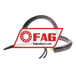FAG EFS217