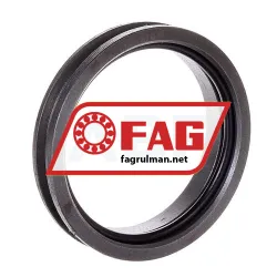 FAG TSV213