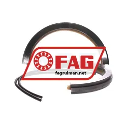 FAG EFS218