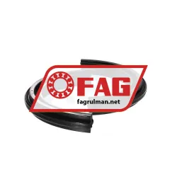 FAG DH216