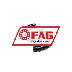 FAG DH313