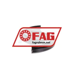 FAG DH206