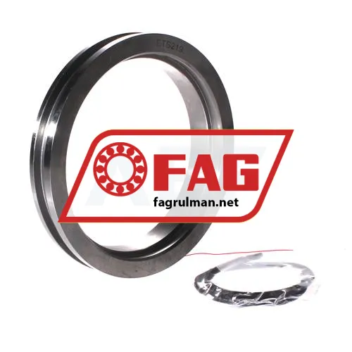 FAG ETS219