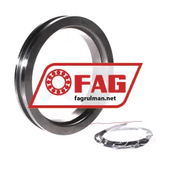 FAG ETS219