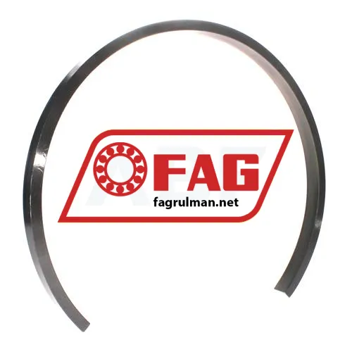 FAG NFR320/19