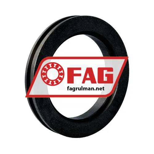 FAG TSV319