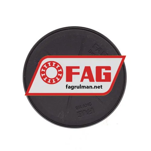 FAG DKV110