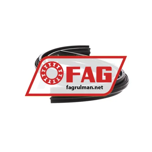 FAG DH318