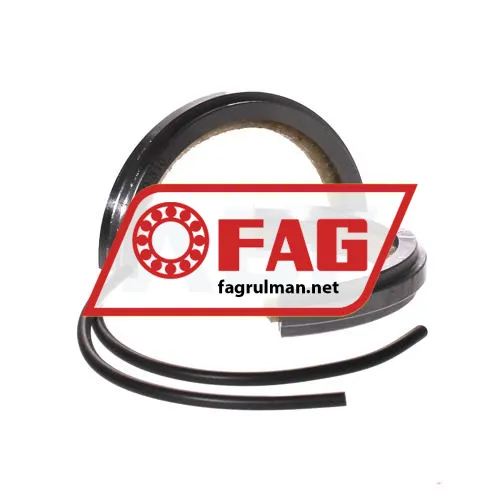 FAG EFS210-310