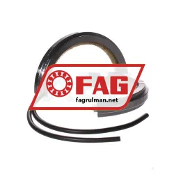 FAG EFS210-310