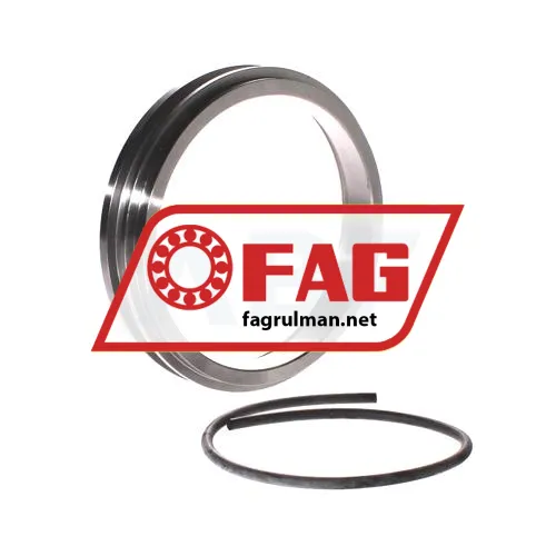 FAG TSV318