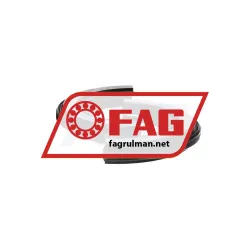 FAG DH310