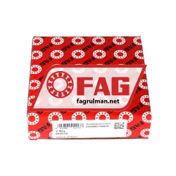 FAG DH310 rulman resim 2
