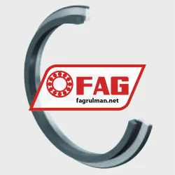 FAG DHV224 rulman resim 2