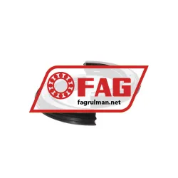 FAG DH307