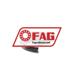 FAG DH207