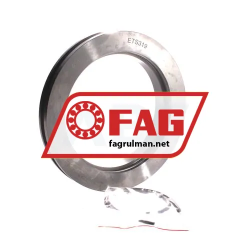 FAG ETS319