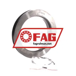 FAG ETS319