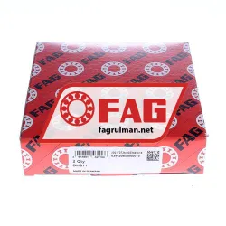 FAG DH311 rulman resim 2
