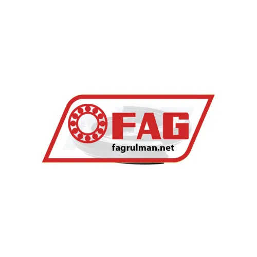 FAG DH309