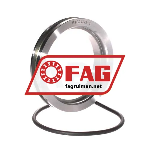 FAG ETS213-313