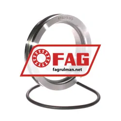 FAG ETS213-313
