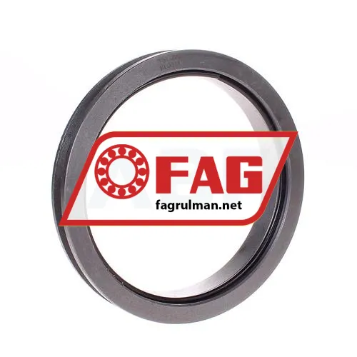 FAG TSV224
