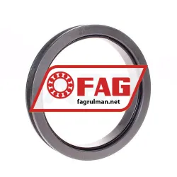 FAG TSV224