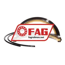 FAG FSV220
