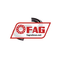FAG DH209