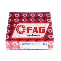 FAG DH209 rulman resim 2