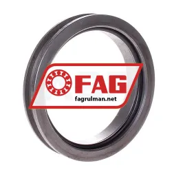 FAG TSV216