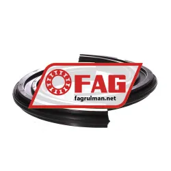 FAG DH219
