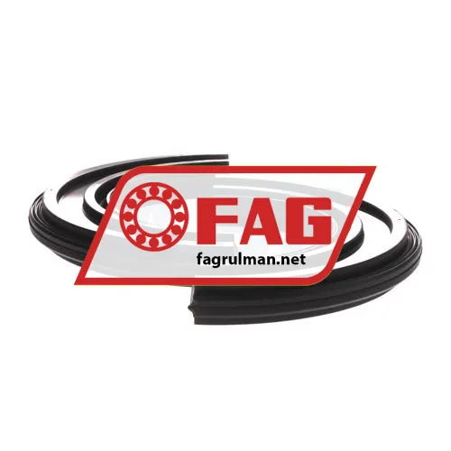 FAG DH520