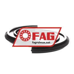 FAG DH520