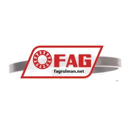 FAG FRM160/11,2 rulman resim 2