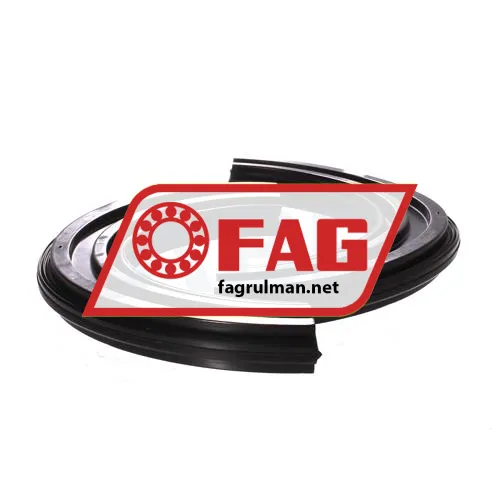 FAG DH217