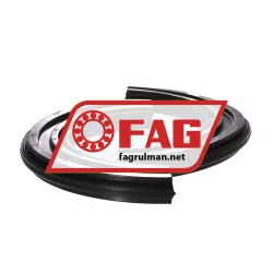 FAG DH217