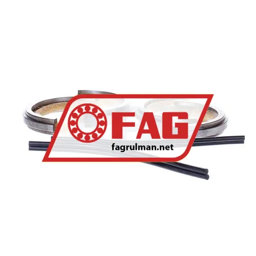 FAG FSV210
