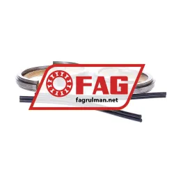 FAG FSV210