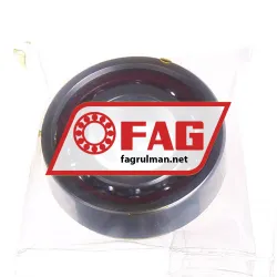 FAG B7003-C-T-P4S-UM