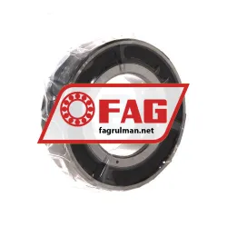 FAG B7005-E-2RSD-T-P4S-UM rulman resim 2