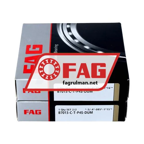 FAG B7013-C-T-P4S-DUM