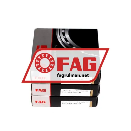 FAG B7011-E-2RSD-T-P4S-TUM