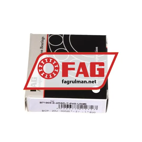 FAG B71903-E-2RSD-T-P4S-UM ürün fotoğrafı 2