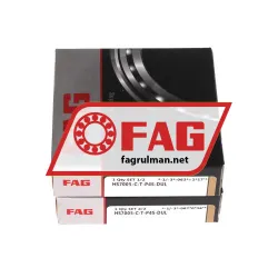 FAG HS7005-C-T-P4S-DUL rulman resim 3