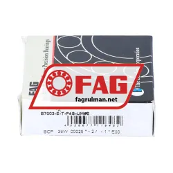 FAG B7003-E-T-P4S-UM rulman resim 3
