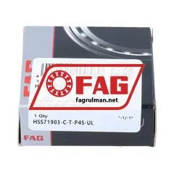 FAG HSS71903-C-T-P4S-UL rulman resim 2
