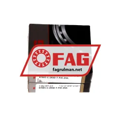 FAG B7005-C-2RSD-T-P4S-DUL