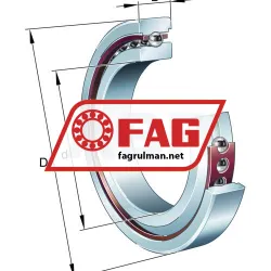 FAG HS7005-C-T-P4S-UL rulman resim 6